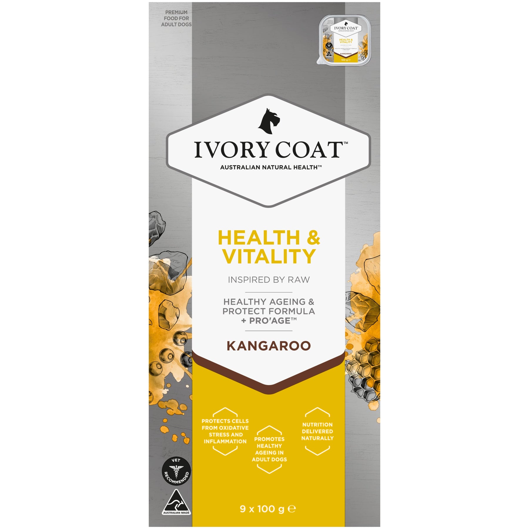 Ivory Coat Inspired by Raw Health & Vitality Dog Formula (9 x 100g)